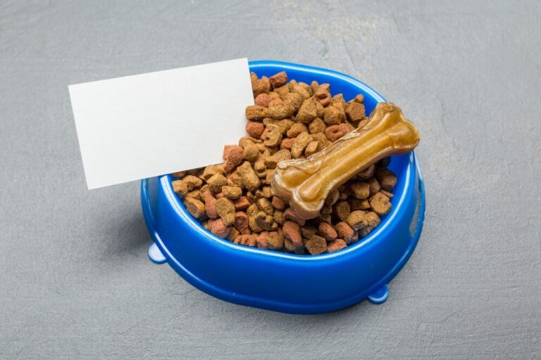 alpha-spirit-karma-sucha-dla-psa---co-warto-wiedziec-przed-zakupem