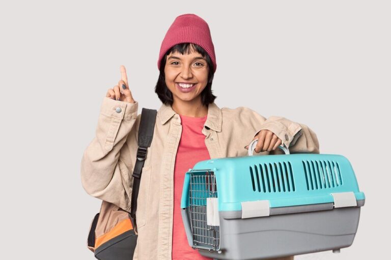 torby-transportowe-dla-psa-jak-wybrac-najlepsza-opcje