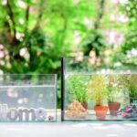 naturalne-ozdoby-do-akwarium-jak-stworzyc-efektowny-wystroj-1