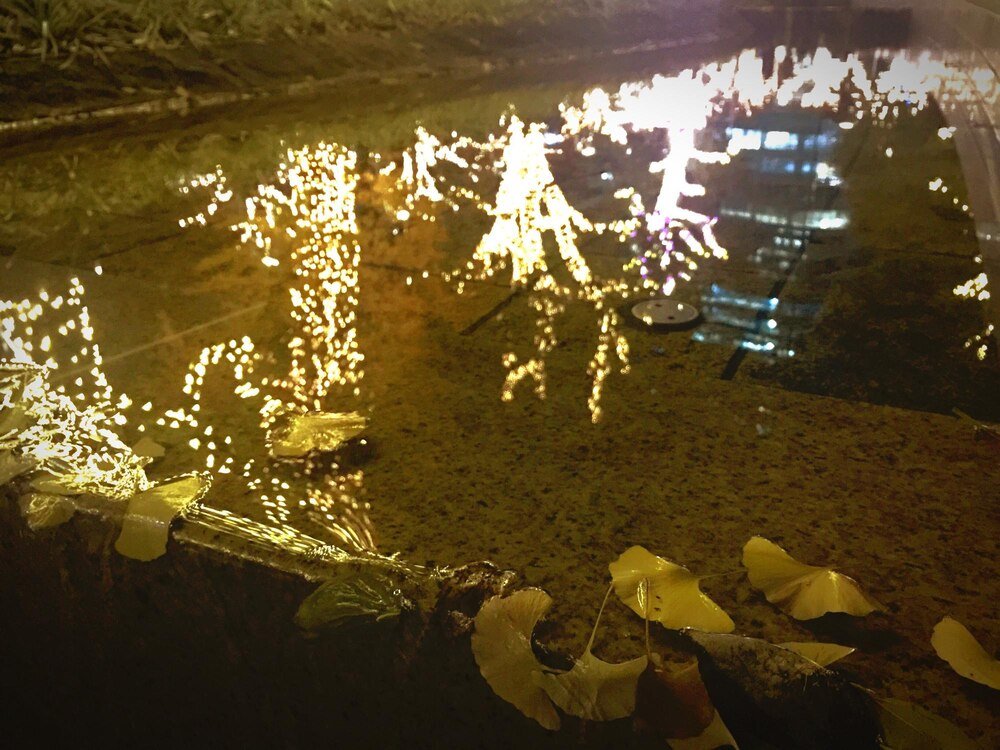 oswietlenie-oczka-wodnego-jak-wybrac-najlepsze-lampy-do-twojego-ogrodu-1