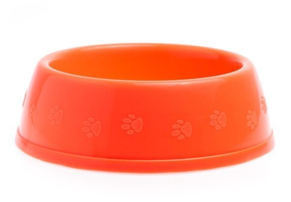 miska-dla-psa---jak-wybrac-idealna-opcje-dla-twojego-pupila