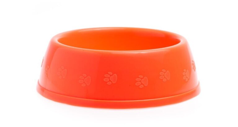 miska-dla-psa---jak-wybrac-idealna-opcje-dla-twojego-pupila